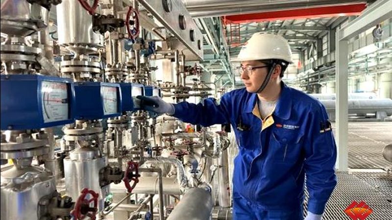 低温蒸发器：揭秘其价格构成与选购要点**
